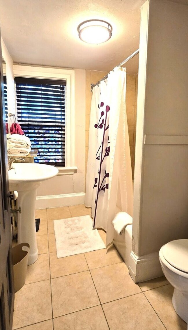 54 Dudley St unit 1, Roxbury, MA 02119 - photo 6