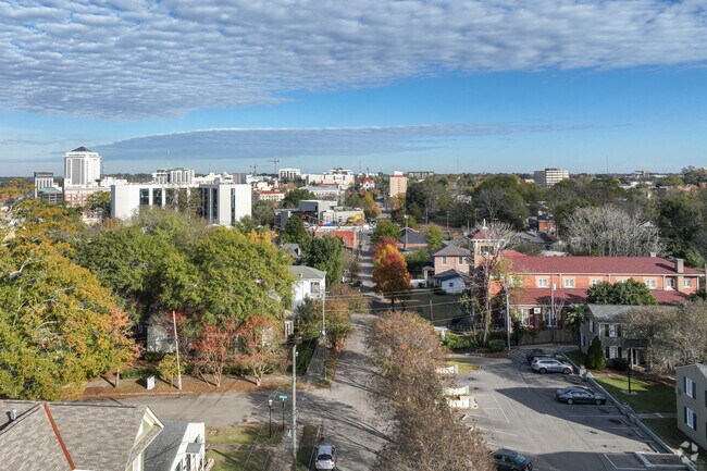 In Cottage Hill, various spots offer stunning scenic overlooks of Montgomery's skyline.