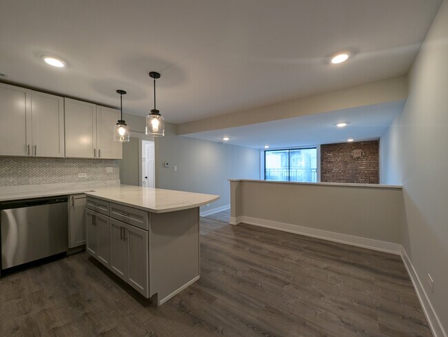 1214 N La Salle Dr unit K5, Chicago, IL 60610 - photo 2