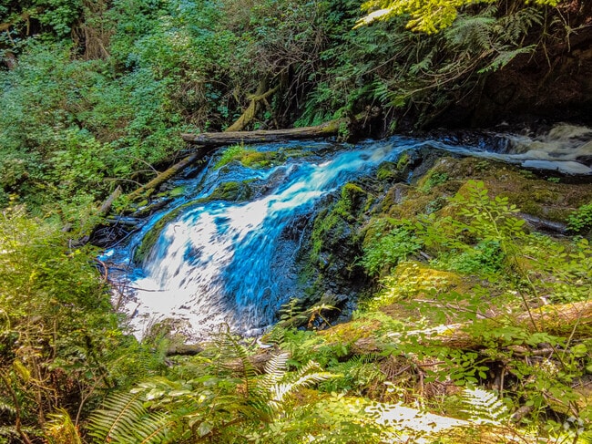 The Ludlow Falls are the prize on the interpretive trail.