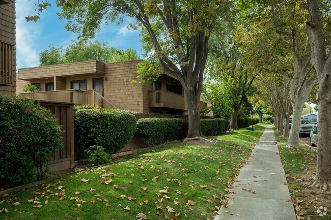 Condominiums are frequently surrounded by trees in Princess Park.