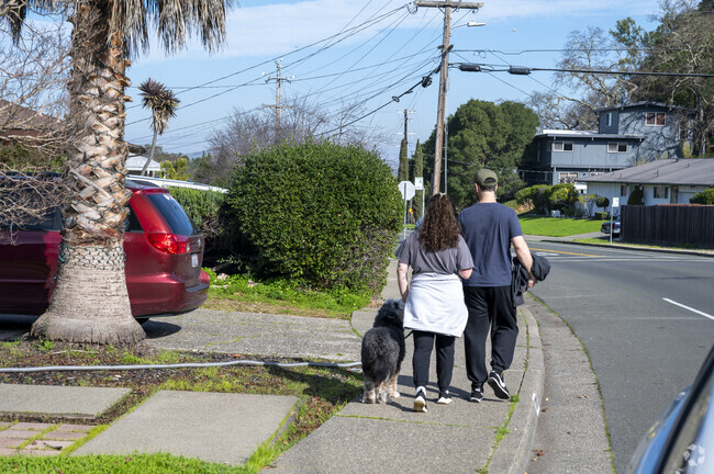 There are plenty of different places to walk your dog in Midwest Novato.