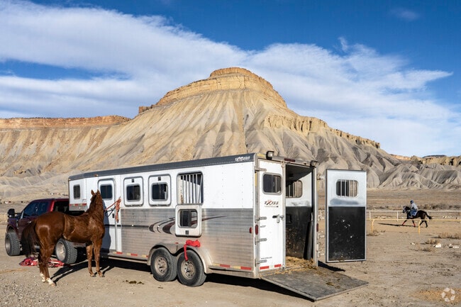 Clifton, Colorado, boasts a vibrant local horse racing scene that captures the excitement of equestrian enthusiasts. With thrilling events and a lively atmosphere, the community comes together to celebrate the grace and speed of these magnificent animals, making for unforgettable days.