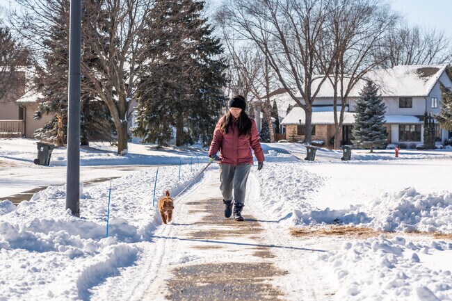 There are great paved sidewalks going in and around Westwyne Park.