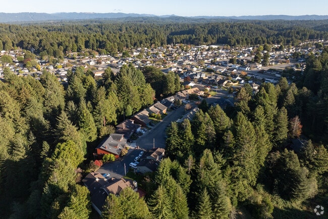 The Rosewood neighborhood is surrounded by Redwood trees.