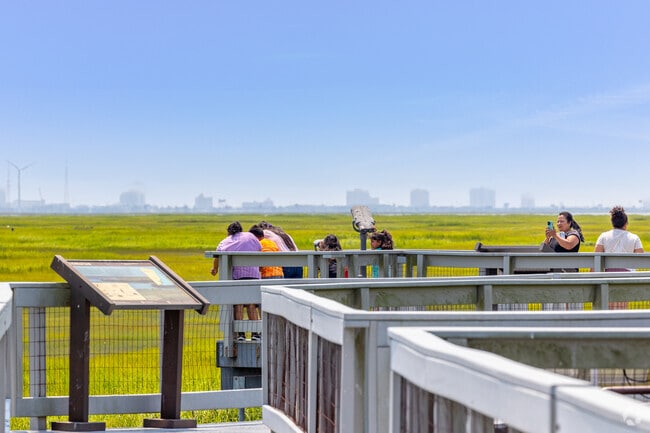 Observe the wildlife along the boardwalks at Forsythe National Wildlife Refuge.