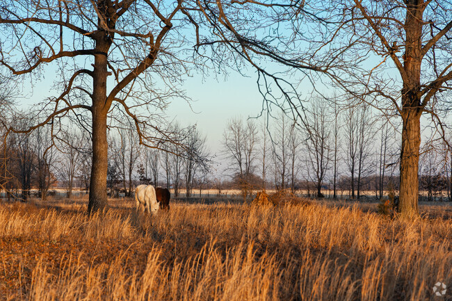 Many people calling Poplar Bluff home enjoy a rural style of life.