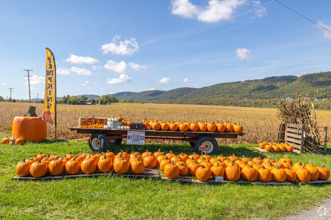 Roadside farm stands offer an array of local produce and goods to residents of Benner.