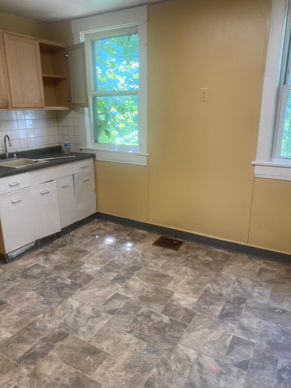 2066 S Park Ave unit Rear, Buffalo, NY 14220 - photo 4