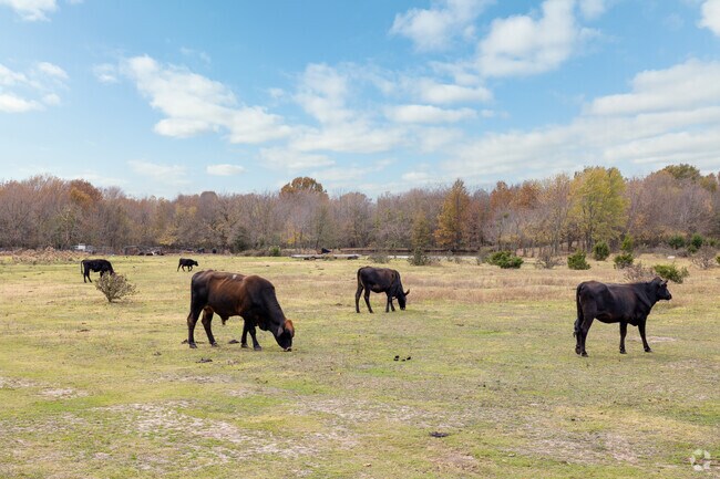 Farmland surrounds parts of Vandever Trails for a rural feel.