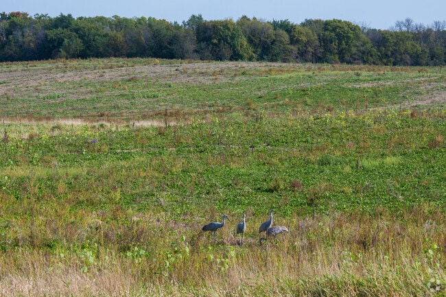 Watertown’s green spaces offer residents a place to relax and connect with nature.