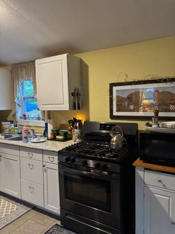 89 Lower Sunnybrook Rd Unit 1, Middlesex, VT 05602
