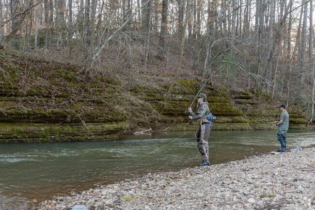 Fly fishermen can try to catch rainbow trout on the Shoals Creek in Lawrenceburg.