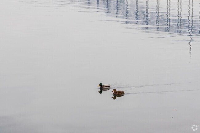 Wildlife is plentiful around the city of Kennewick.