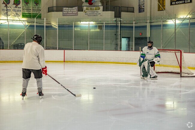Grab your skates and head to a pickup hockey game at Clark Gillies Arena in Dix Hills.