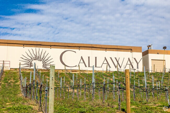 Make memories to cherish at Callaway Winery, Temecula's charming vineyard.