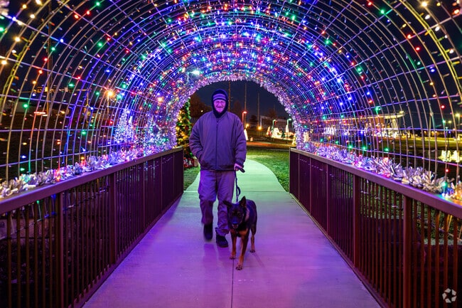 Enjoy the lights at the annual Tree Trail by Murphysburg.