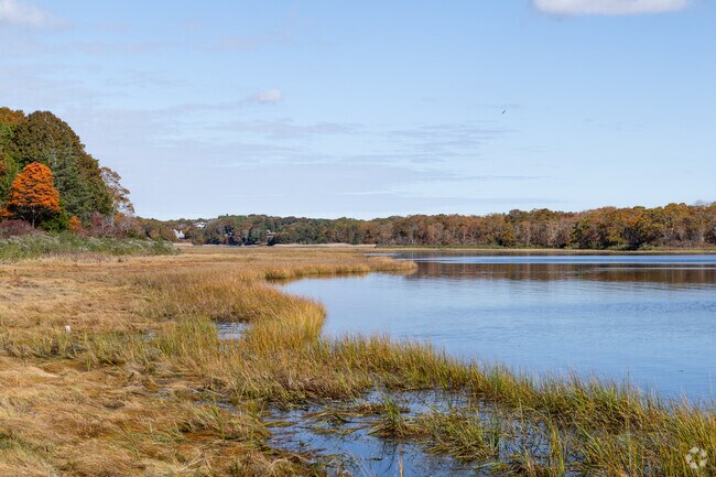 Wildlife thrives at Slocum’s River Reserve near Great Neck along the peaceful river.