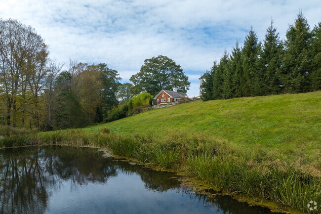 Land is lush like a painting in Washington.