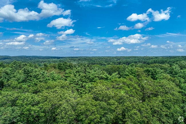 Canton offers abundant green space and many outdoor activities to enjoy.