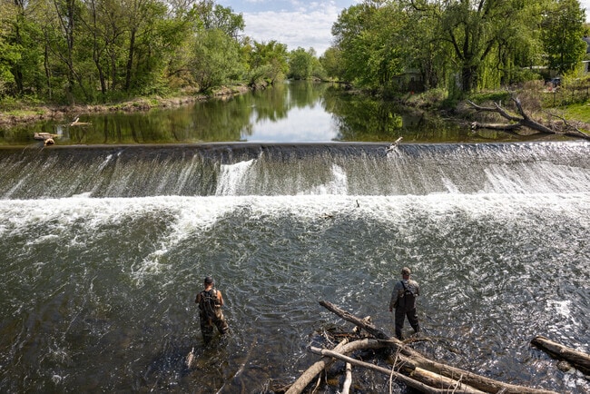 Bloomsbury locals fish in the Musconetcong River at Church Street in Bloomsbury.