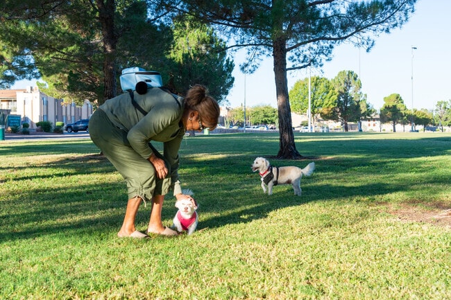 Pico Norte Park is the perfect place for people and pups to pass the time outdoors.