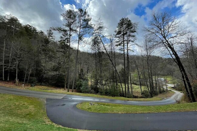 121 Sawmill Springs Rd unit ID1297612P, Bryson City, NC 28713 - photo 6
