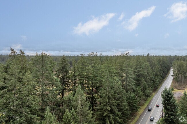 Elk Plain is a spread out neighborhood with most residences tucked away amongst plentiful trees.