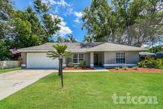 19203 Sunlake Blvd, Lutz, FL 33558