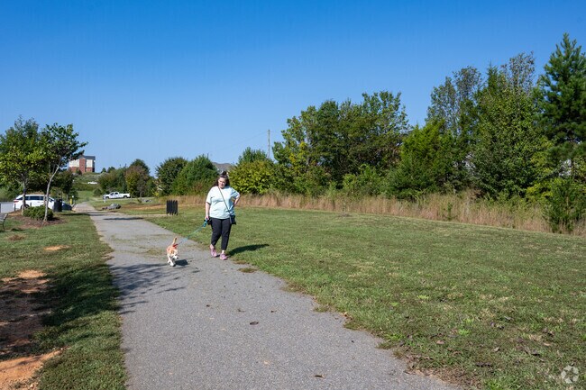 You can enjoy a walk with your dog at Jamison Park near Huntscroft-New Forestdale.