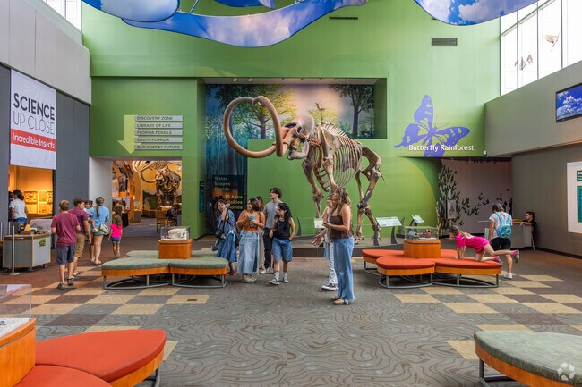 The Florida Natural History Museum brings family fun to University Park.