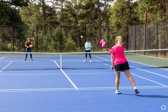 Play some Pickle Ball with your friends at Black Forest Regional Park.