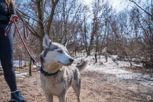 Battle Creek Dog Park is located in Battle Creek Upper Afton