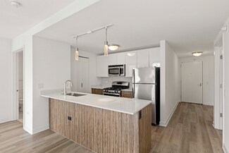 319 W Wolf Point Plaza, Chicago, IL 60654