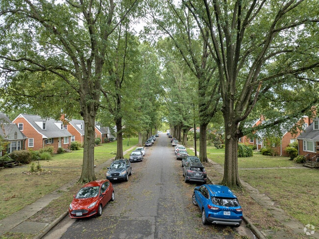 Towering oaks line the streets of Rosedale.