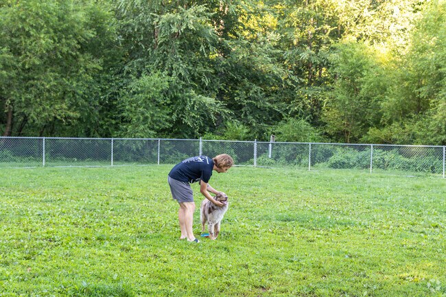 Azalea Park offers a place for Fry's Spring residents to take their dogs to play.