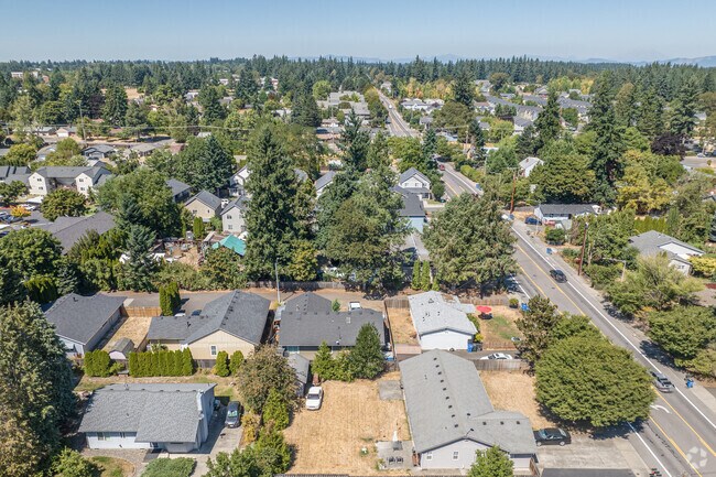 Evergreen trees line the streets of the Burton Ridge neighborhood.