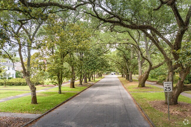 Moss-covered trees indicate you have entered Forest Hills South.