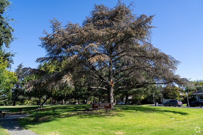 Exploring the serene beauty of Len Hester Park.