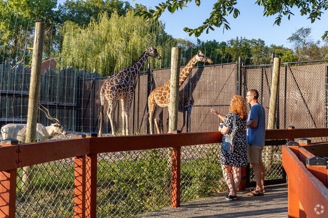Zoo Brew at Blank Park Zoo is a great opportunity for Watrous South adults to enjoy the zoo.