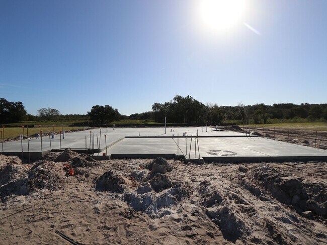 8437 Fox Den Cove, Lakeland, FL 33810 - photo 4