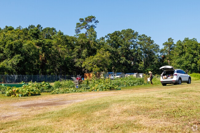 South Tallahassee offers a community garden for residents to work out their green thumbs.