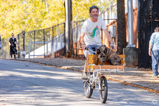 Walk, run or bike over to the Benteen Park Fall Fest.
