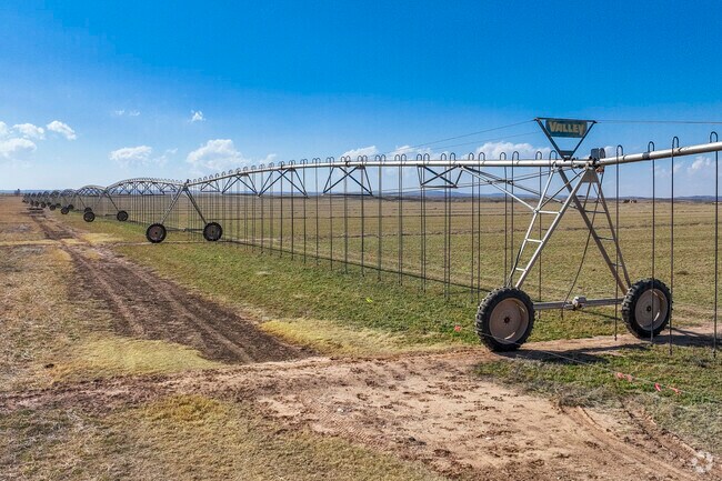 Roswell is surrounded by irrigated farmland, contributing to a strong agribusiness sector.