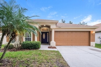 10641 Egret Haven Ln, Riverview, FL 33578