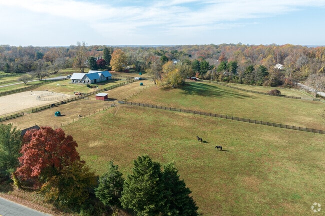 Freedom Hill Horse Rescue saves neglected, abused and unwanted horses in Owings Md.