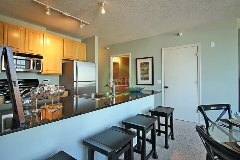 349 N Desplaines St, Chicago, IL 60661 - photo 1