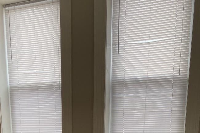 341 W 3rd St unit 1, Williamsport, PA 17701 - photo 3