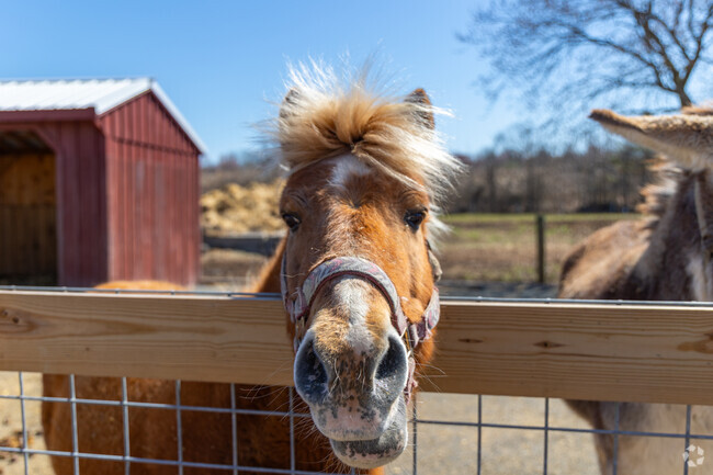Abma's Farm in the Blackwells Mills area is a family-run operation known for its diverse offerings, including fresh produce, farm animals, seasonal events, and a charming market that emphasizes local agriculture and community engagement.
