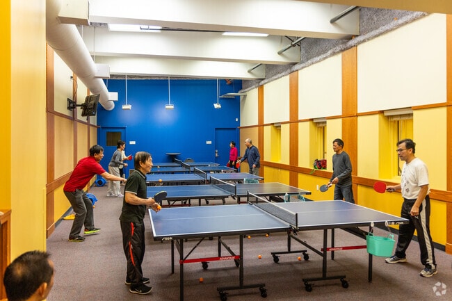 Play ping-pong at the Bayshore Community Center.